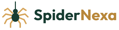 SpiderNexa logo